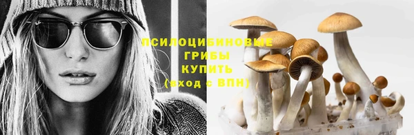 молекула духа Нефтегорск
