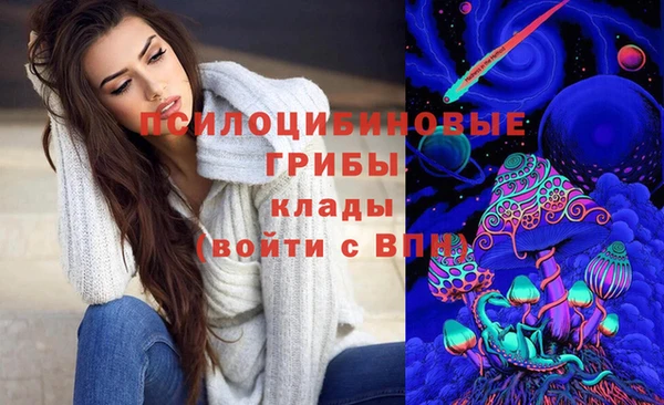 молекула духа Нефтегорск