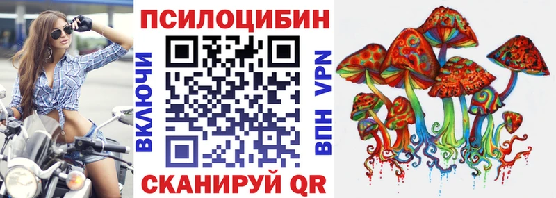 Псилоцибиновые грибы Magic Shrooms  Купить где  Яблоновский 
